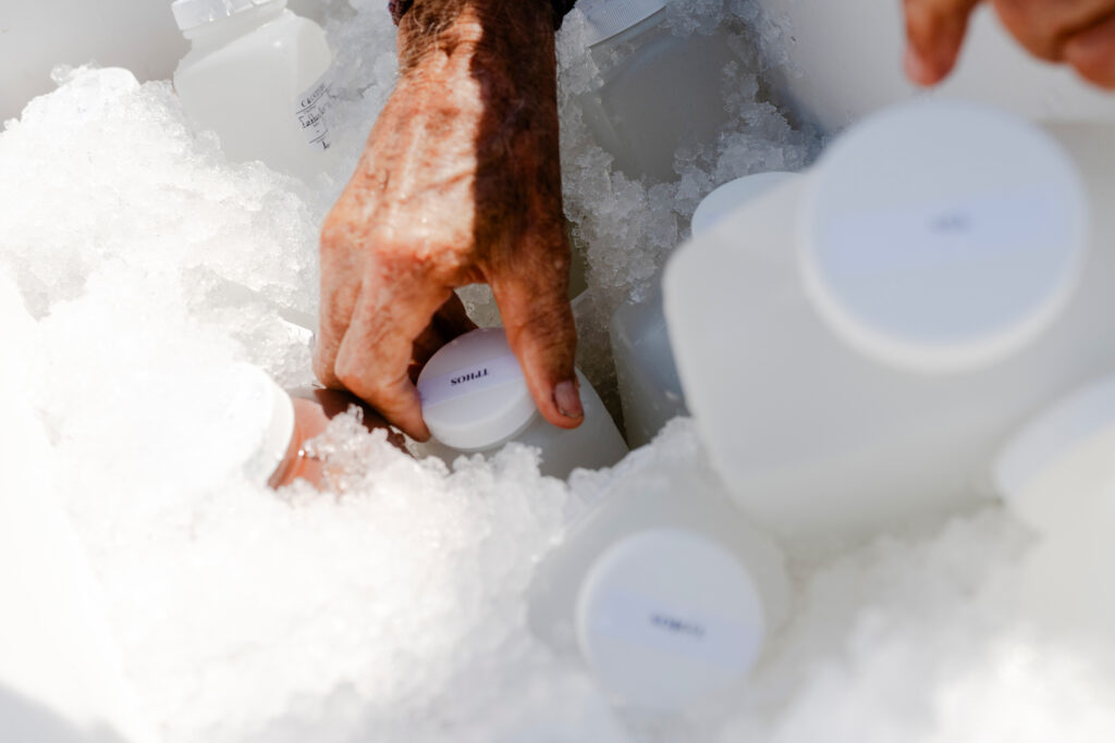 Tom Vaughan puts water samples from the Rio Grande on ice.