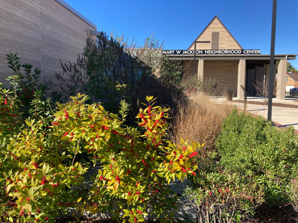 A rain garden in front of a neighborhood center near downtown Hampton. Credit: Phred Dvorak/Inside Climate News