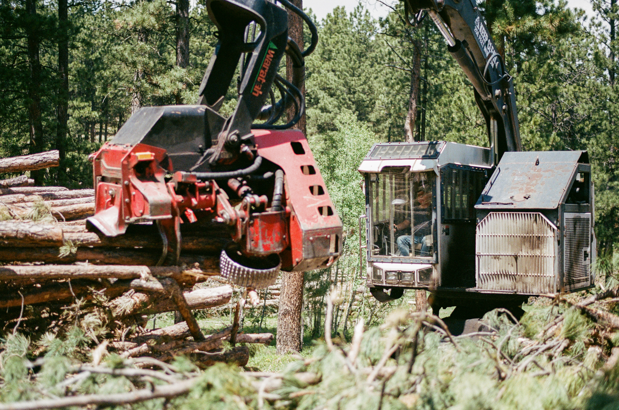 A section of forest is thinned near Esterbrook, Wyo. Credit: Jake Bolster/Inside Climate News