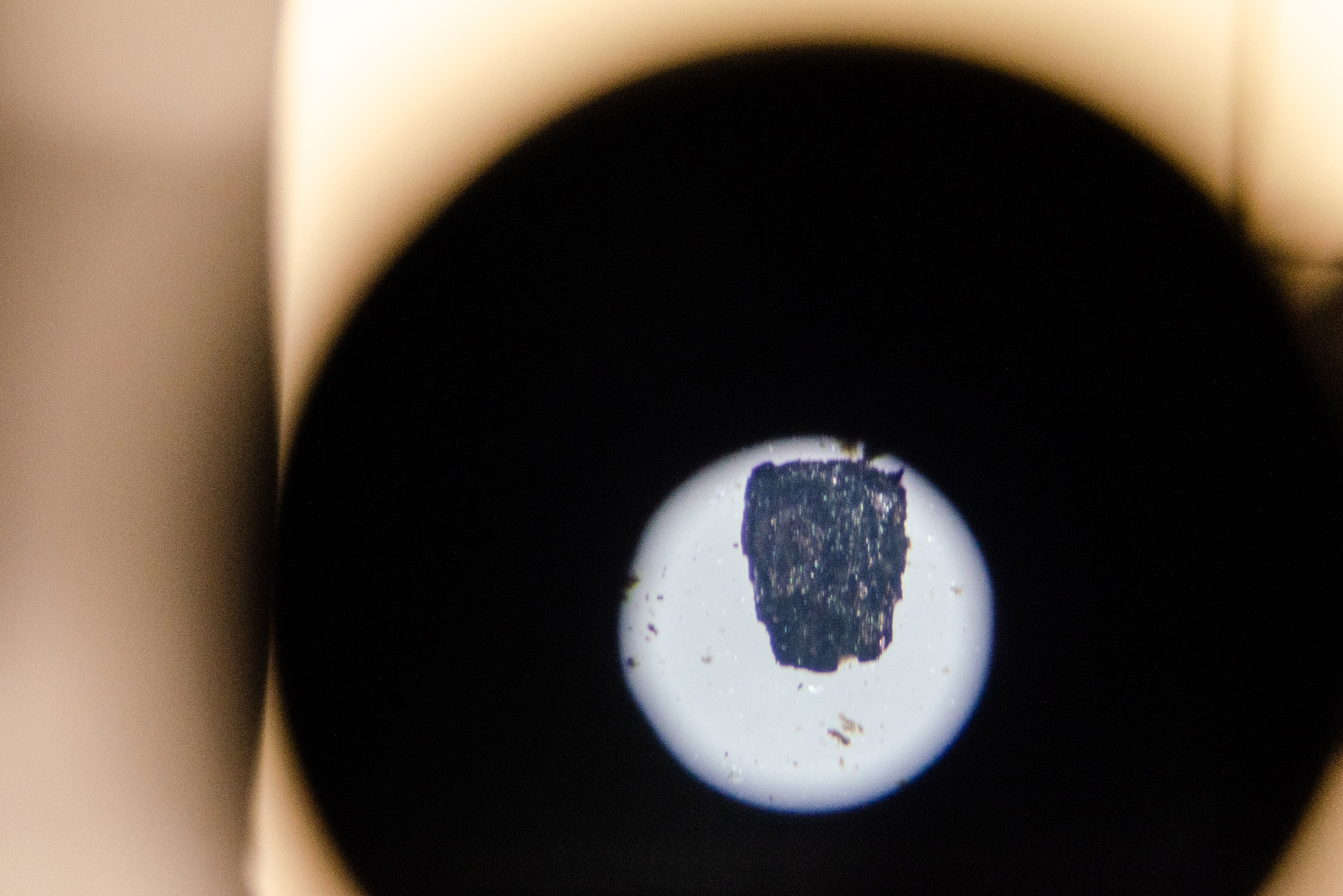 Charcoal from a lake core sampling as seen through a microscope. Charcoal concentrations tell scientists how frequently landscapes burned before recorded human history. Credit: Jake Bolster/Inside Climate News