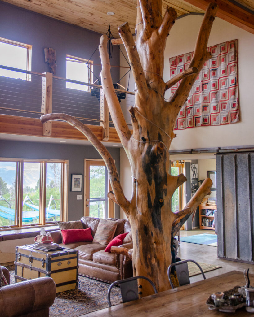A ponderosa pine that burned on Gary Berchenbriter’s property in 2012 is now the centerpiece of his and his wife’s new house on Casper Mountain. Credit: Jake Bolster/Inside Climate News