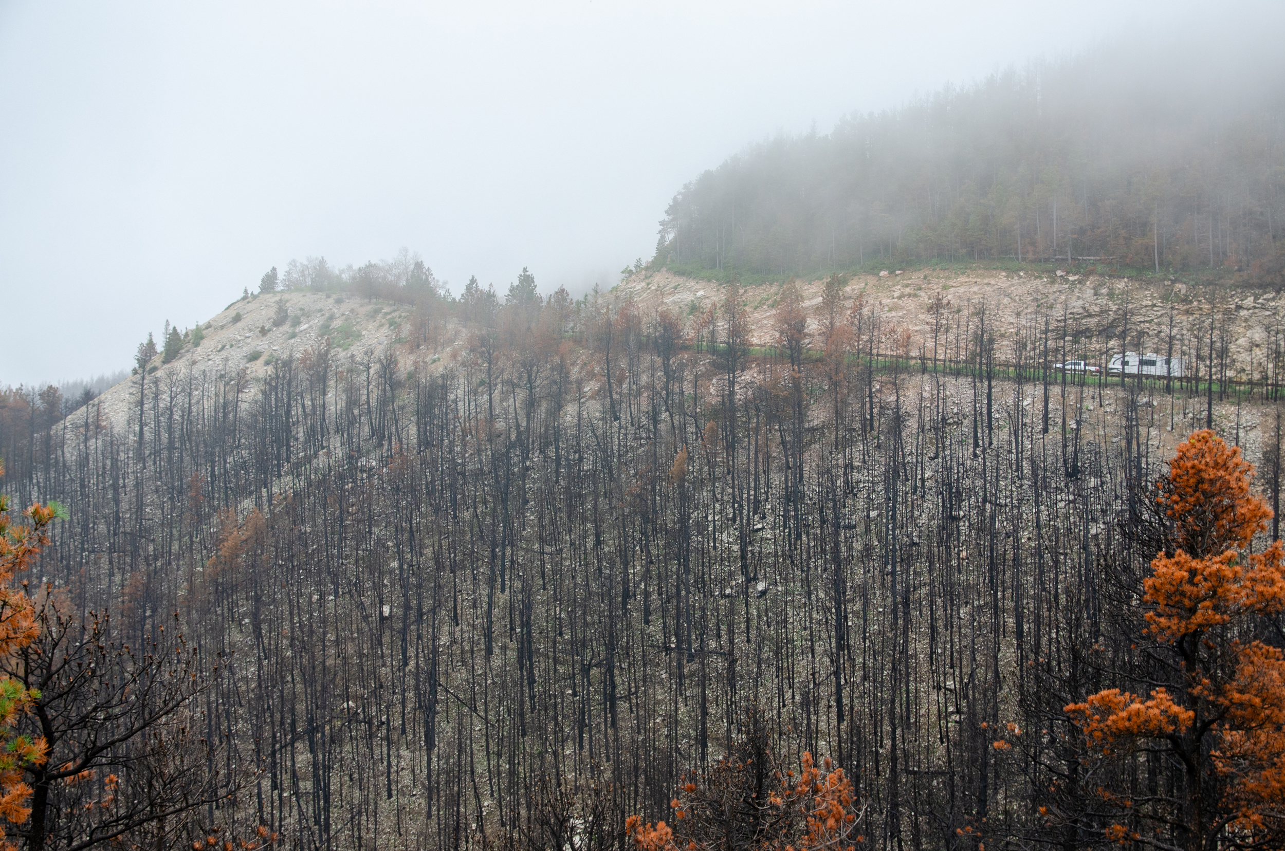 The Elk Fire’s burn scar will be visible on the landscape for decades, even as forest managers and firefighters say they struggle to generate enthusiasm and interest from the community members for defensible spaces and home hardening. Credit: Jake Bolster/Inside Climate News
