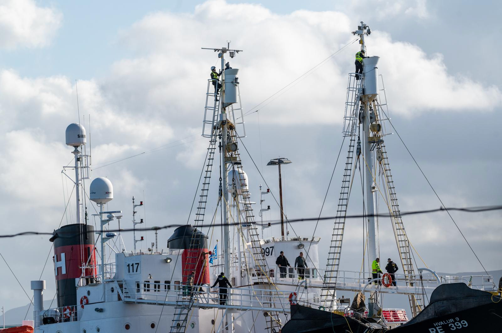 Elissa Phillips and Anahita Sahar Babaei climbed aboard two whaling vessels in Reykjavík, Iceland, to stop them from hunting threatened fin whales. Credit: Boris Niehaus/Hard to Port
