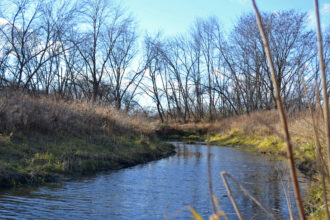 A view of restored oxbow wetland in Johnston, Iowa. Credit: Anika Jane Beamer/Inside Climate News