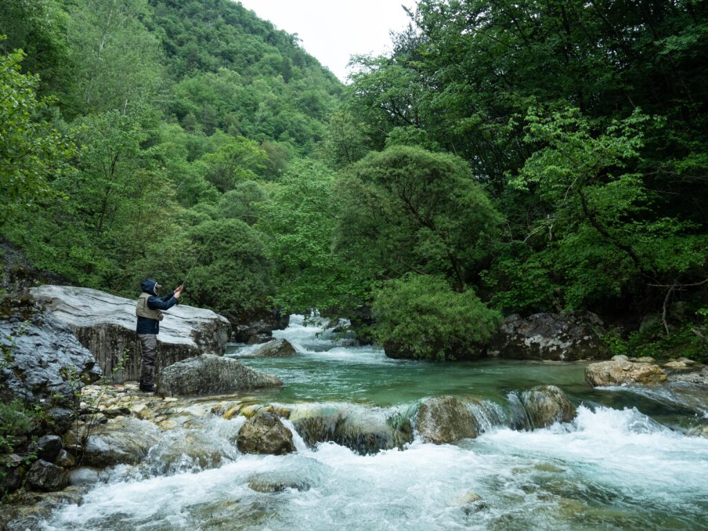 How Does Nature Contribute to the Economy? These Environmental Accountants Are Trying to Find Out