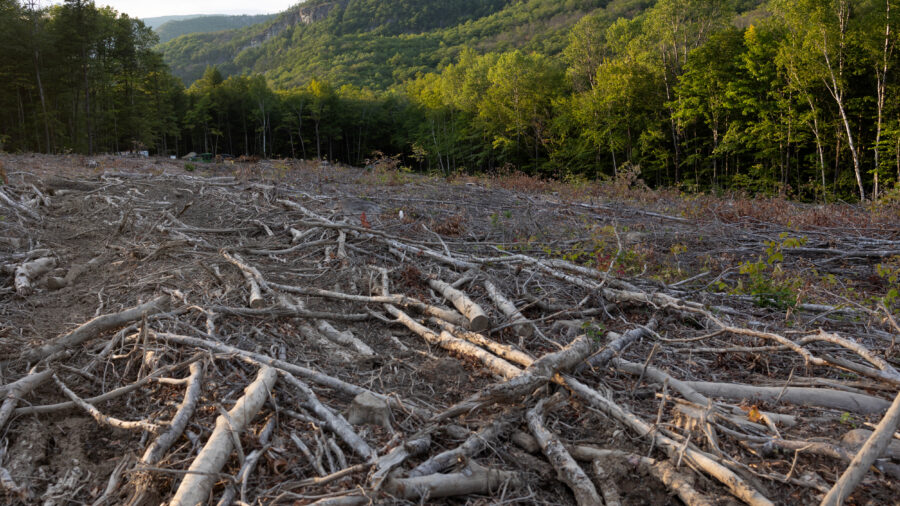 A patch of the White Mountain National Forest is clear-cut in a logging operation near Stow, Maine. Credit: Andrew Lichtenstein/Corbis via Getty Images