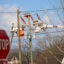 Line workers attend to distribution poles in Richmond, Va. Credit: Charles Paullin/Inside Climate News