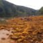 Lick Run, a tributary to West Virginia’s Cheat River, is one of many waterways in Appalachia that are impaired by pollution from coal mining. Acid mine drainage can create a reddish coloring in affected streams. Credit: Courtesy of Friends of the Cheat