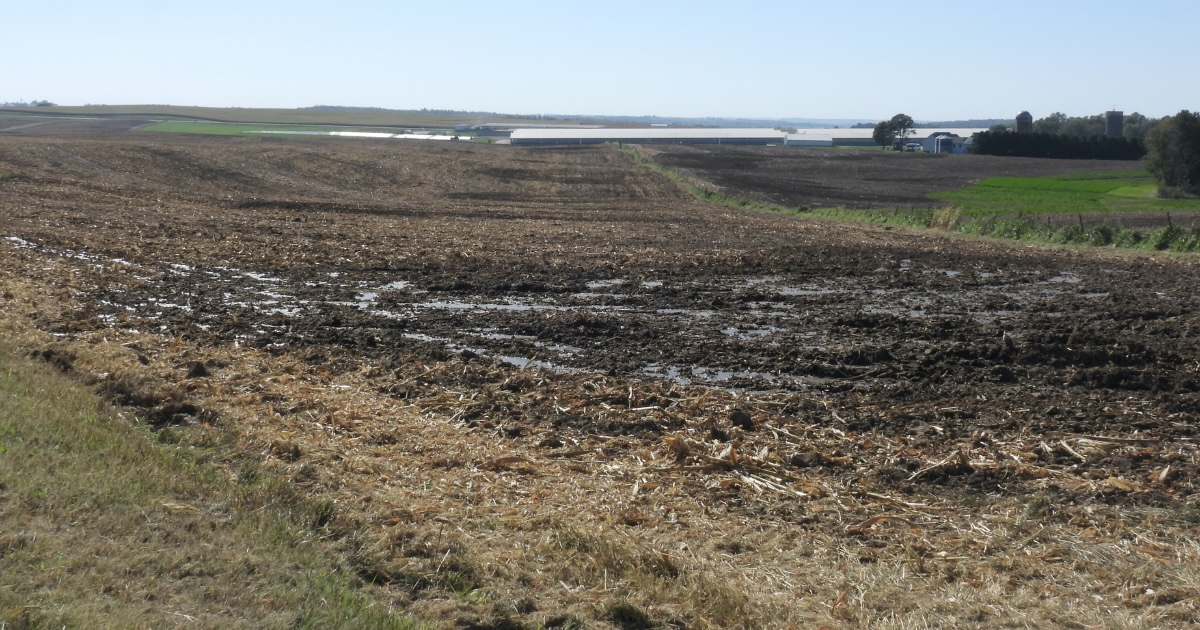 Stretched Thin, Iowa Agency Issues Few Fines for Manure Pollution Stretched Thin, Iowa Agency Issues Few Fines for Manure Pollution