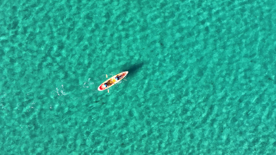 Boaters in a kayak off the coast of La Jolla Shores, California, in December 2025. Credit: Kevin Carter/Getty Images