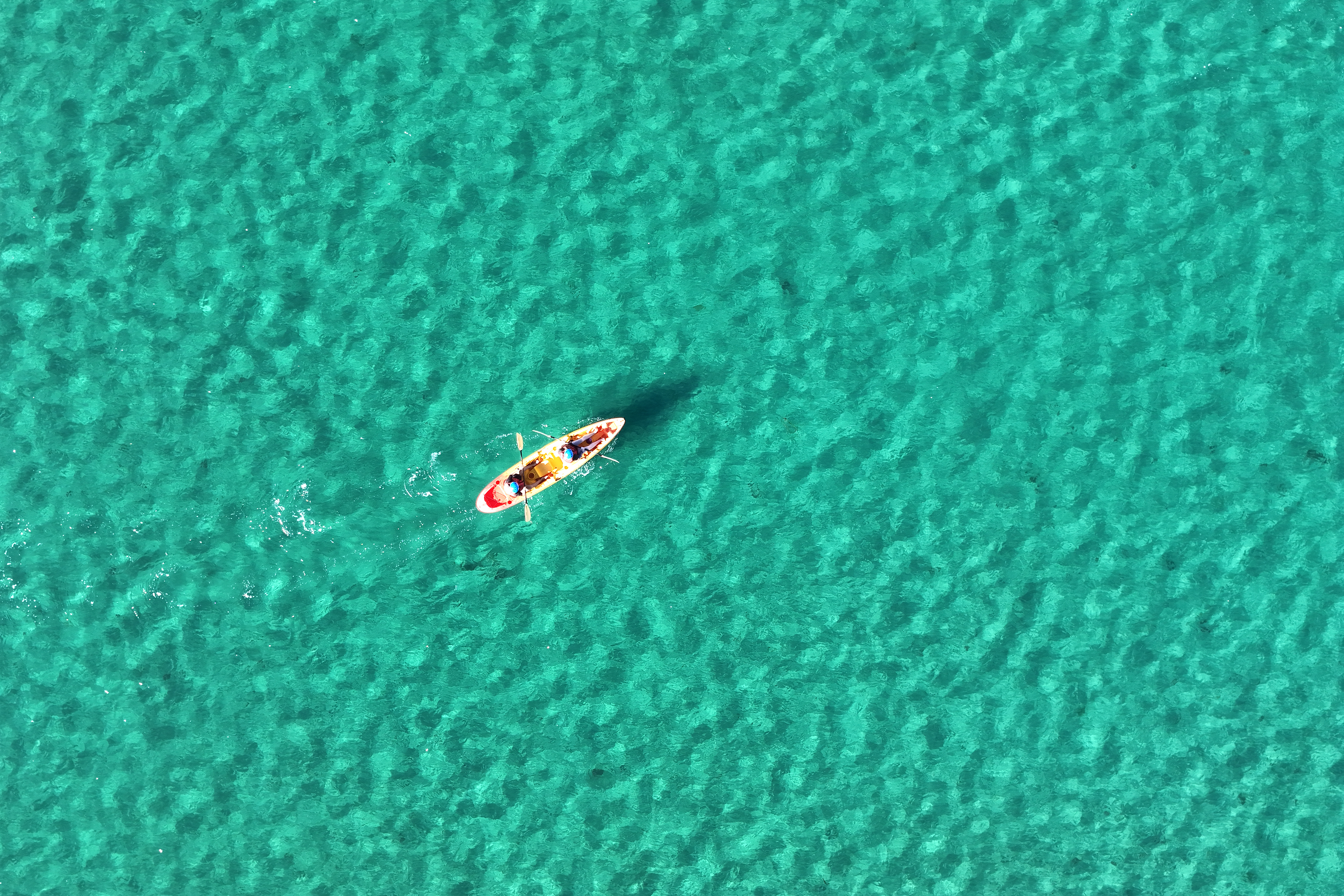 Boaters in a kayak off the coast of La Jolla Shores, California, in December 2025. Credit: Kevin Carter/Getty Images