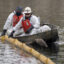 In Huntington Beach, California, a bird perches on a contamination containment boom in October 2021 as workers cleanup the Talbert Marsh after a spill off the coast of Huntington Beach threatens wildlife. Credit: Mindy Schauer/MediaNews Group/Orange County Register via Getty Images