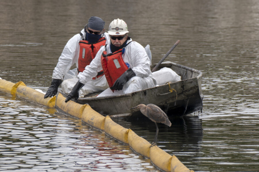In Huntington Beach, California, a bird perches on a contamination containment boom in October 2021 as workers cleanup the Talbert Marsh after a spill off the coast of Huntington Beach threatens wildlife. Credit: Mindy Schauer/MediaNews Group/Orange County Register via Getty Images