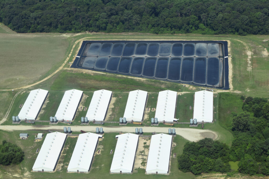 An aerial view of a Kilpatrick hog farm involved with the California-funded Align RNG project. Credit: Kemp Burdette