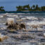 Acropora corals stick out of the water during low tide on Nov. 27, 2021, in Tatakoto, French Polynesia. Credit: Alexis Rosenfeld/Getty Images