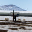 Caribou graze by a portion of the Trans Alaska Pipeline System near the Dalton Highway on May 9, 2025, in Alaska’s North Slope. Credit: Lance King/Getty Images