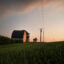 Corn grows on a farm near Clinton, Wis. Credit: Scott Olson/Getty Images