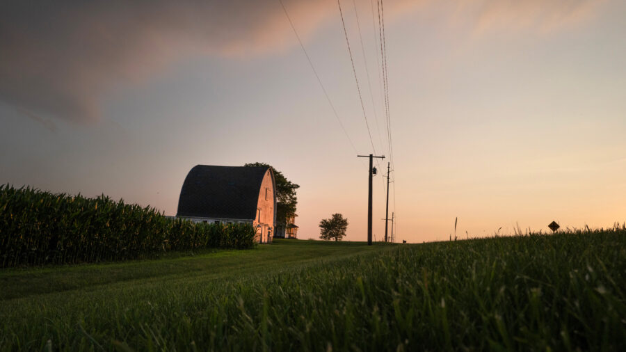 Corn grows on a farm near Clinton, Wis. Credit: Scott Olson/Getty Images