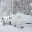 A person shovels out their car from a snow-covered street on Monday in Hoboken, N.J. Credit: Gary Hershorn/Getty Images