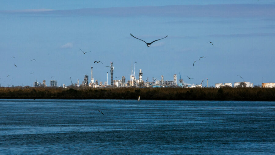 A view of Dow’s Seadrift chemical complex from the Victoria Barge Canal in Texas on Feb. 1. Credit: Dylan Baddour/Inside Climate News