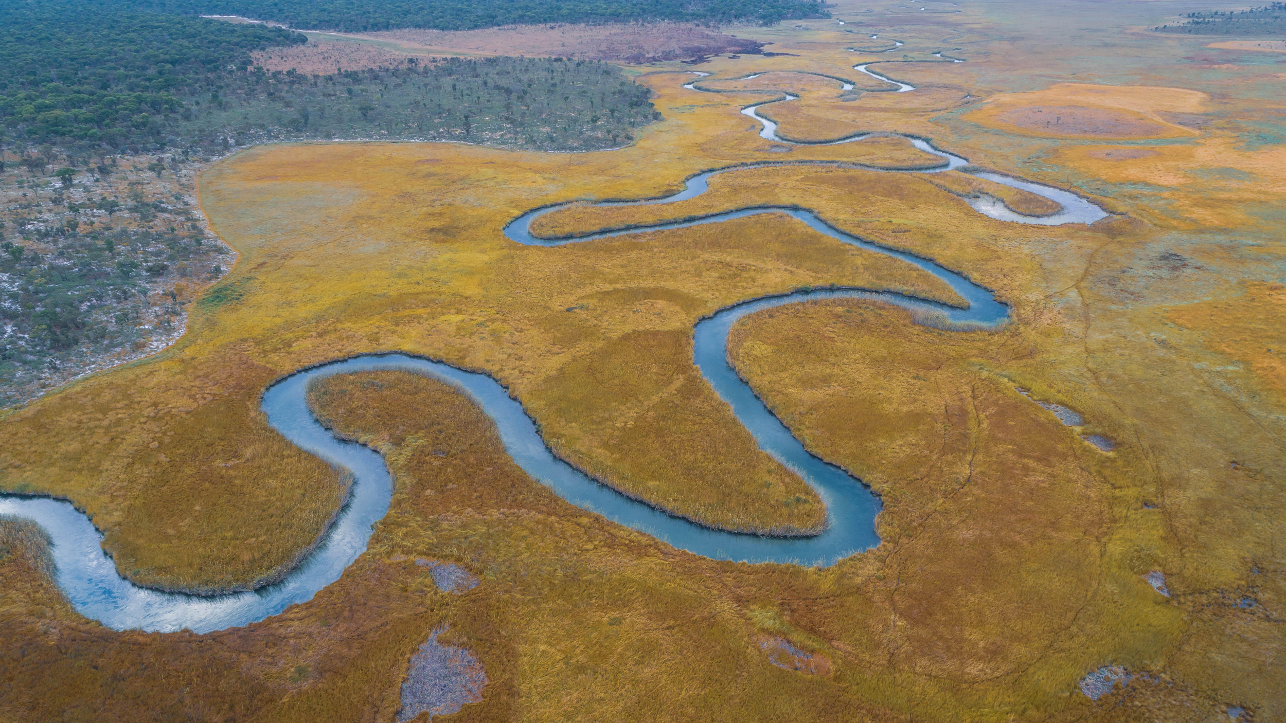 An aerial view of the Cuando River. The Okavango Wilderness Project’s 2018 expedition focused on the eastern-most section of their survey area in Angola. The trek took the team down the length of the Cuando River, a journey that allowed them to explore the intersection of the Okavango and Zambezi Basins, two of the largest basins in southern Africa. Credit: Kostadin Luchansky/National Geographic