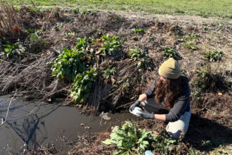 Taylor Register, a water quality specialist with Sound Rivers, samples water from a ditch near White Oaks Farm in North Carolina. Credit: Courtesy of Samantha Krop