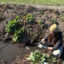 Taylor Register, a water quality specialist with Sound Rivers, samples water from a ditch near White Oaks Farm in North Carolina. Credit: Courtesy of Samantha Krop