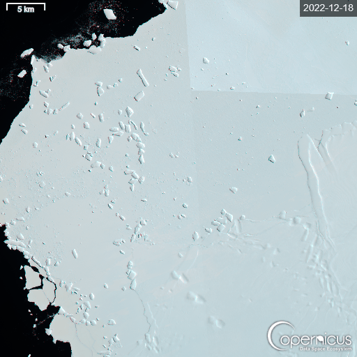 A series of satellite images shows how sea ice used by molting emperor penguins disintegrates before the birds have finished replenishing their feathers. Credit: Copernicus