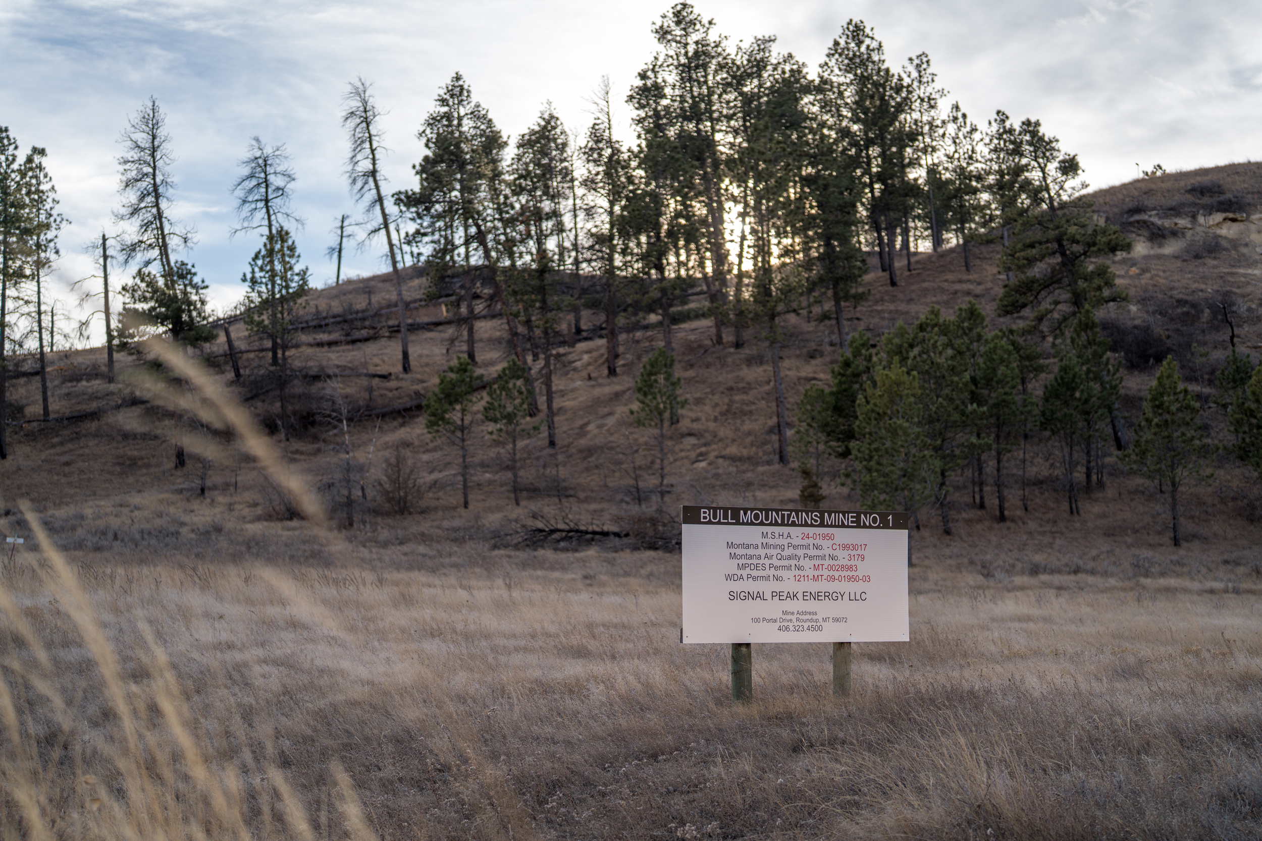 The Bull Mountains Mine is located in the hilly terrain on the eastern edge of the Rocky Mountains in Montana.