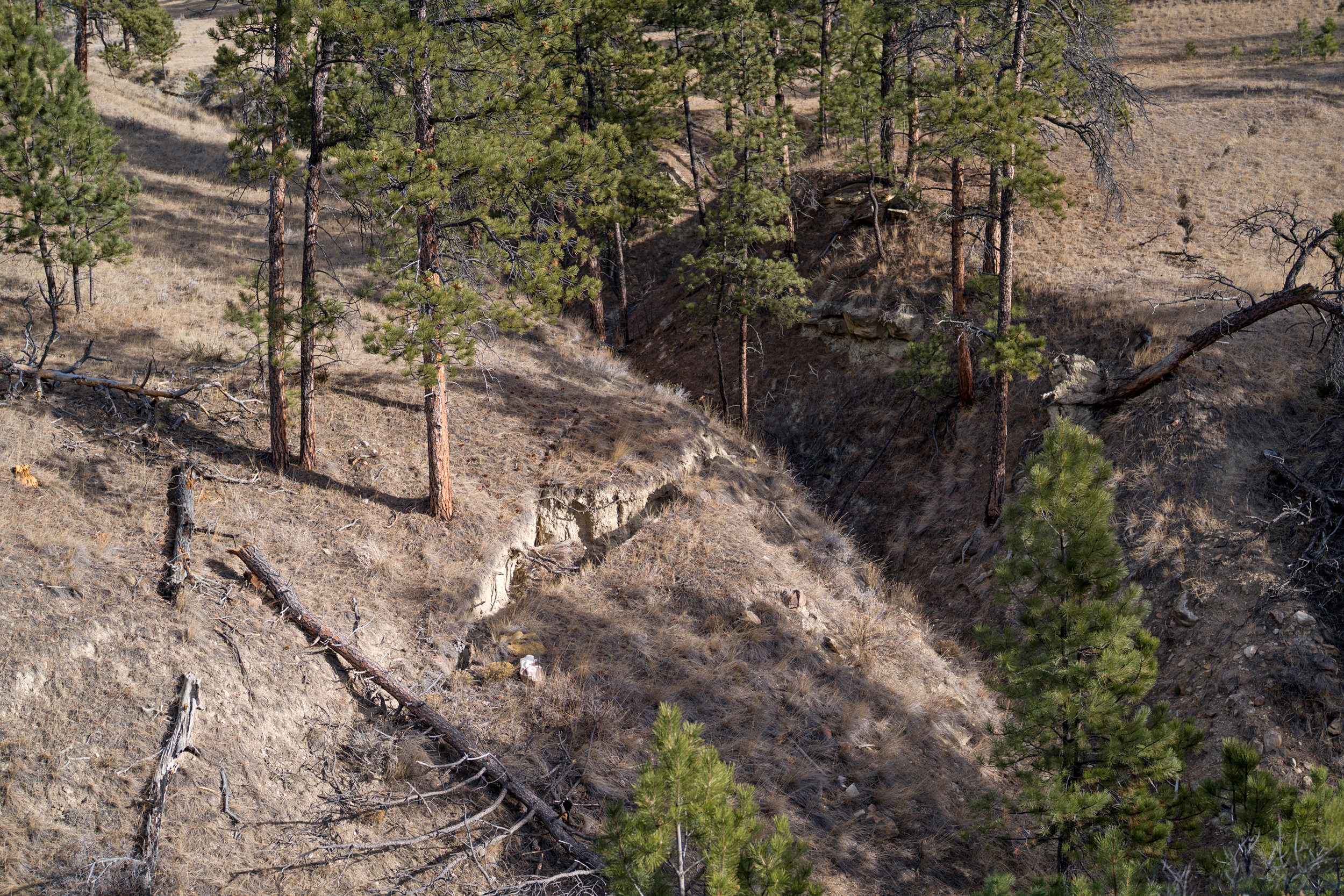 Subsidence cracks are seen on Ellen Pfister’s old ranch.