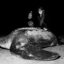 On March 20, a team of scientists from The Leatherback Project and Fundación Reina Laúd deployed the first satellite tag on an endangered leatherback sea turtle in Ecuador. Credit: Nikki Riddy (Photos taken with red light only under research permits from the Ministry of the Environment)