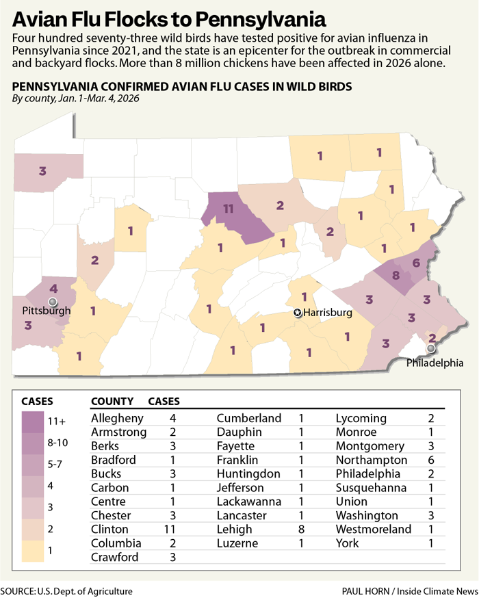 Map shows where wild birds tested positive for avian flu in Pennsylvania from Jan. 1-March 4, 2026.