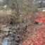A creek flows near a public recreation center in Durham, N.C., where chemicals are seeping into the waterway about a half-mile upstream. Credit: Lisa Sorg/Inside Climate News