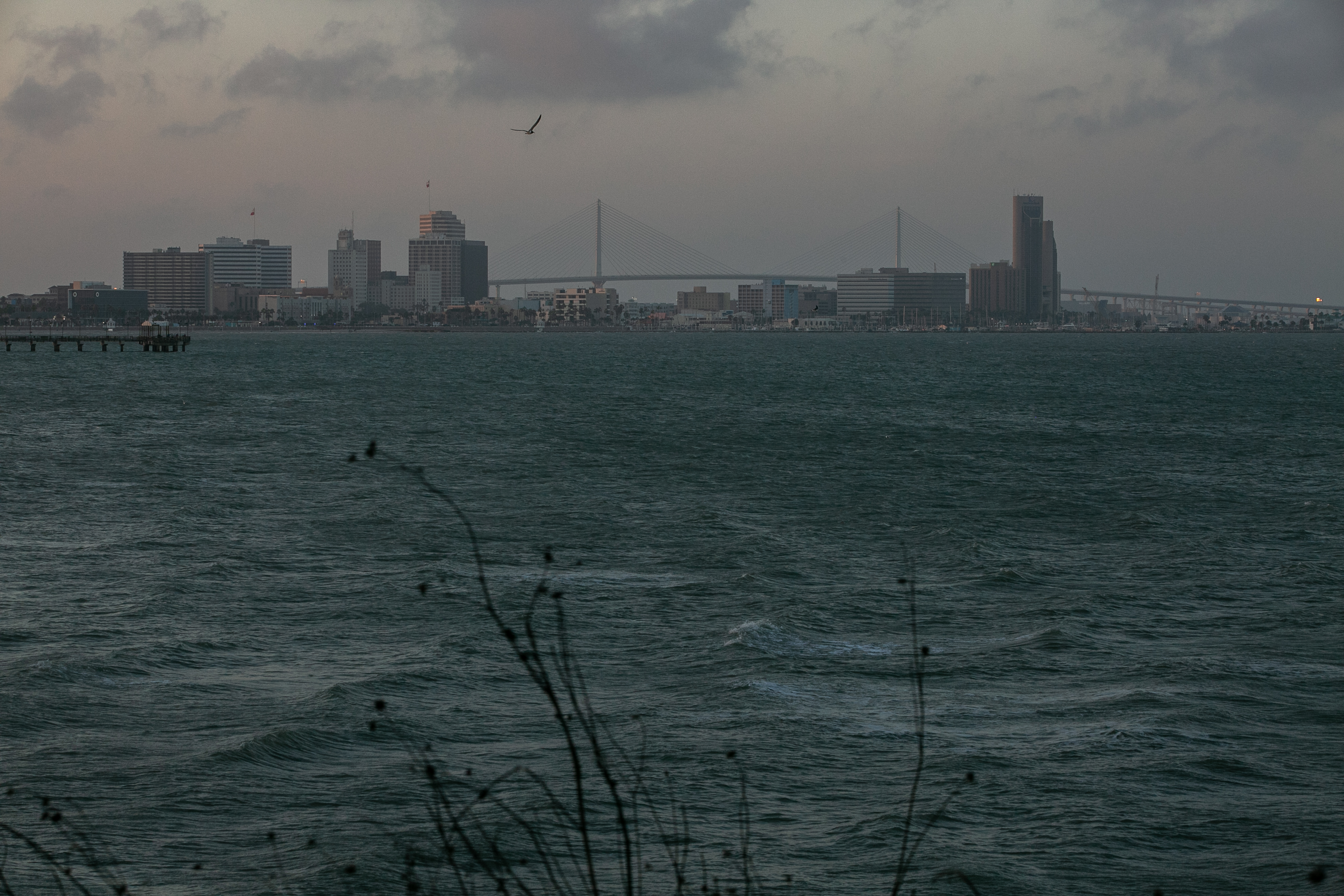 The city of Corpus Christi faces an imminent water crisis after decades of city government failures. Credit: Dylan Baddour/Inside Climate News