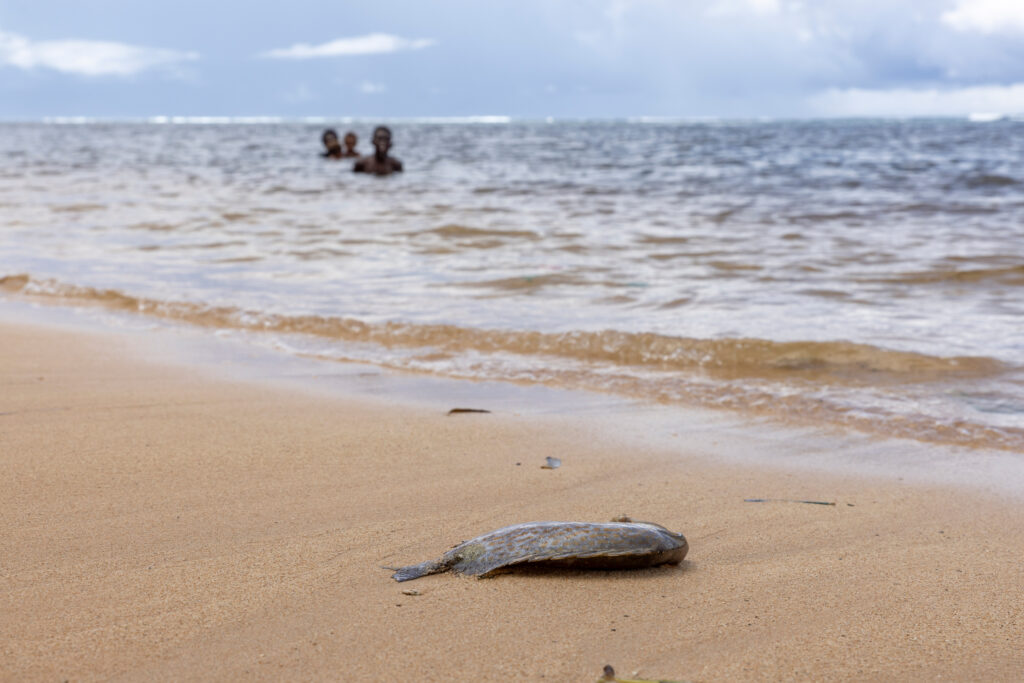At least 750 people have been severely impacted by the toxic event. Many have experienced severe skin irritations after entering the ocean, including rashes, blisters and swelling. Credit: Sebastian Velasquez