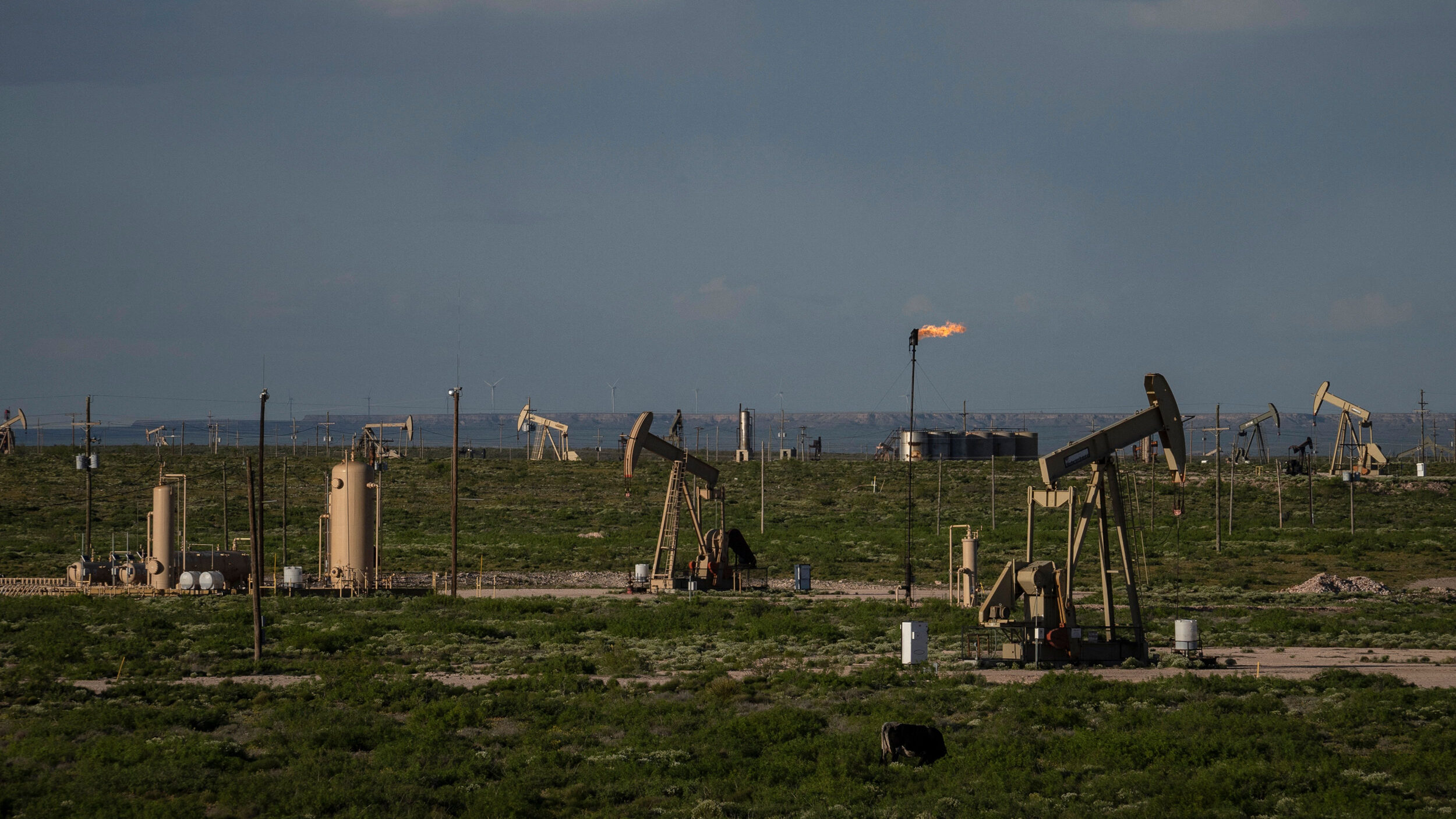 Pump jacks operate in a Permian Basin oilfield near Eddy County, New Mexico. Credit: Paul Ratje/AFP via Getty Images