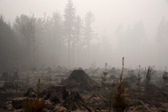 The burned remains of a timber operation in Molalla, Ore., on Sept. 13, 2020, after the Riverside Fire swept through the area. Credit: Robyn Beck/AFP via Getty Images