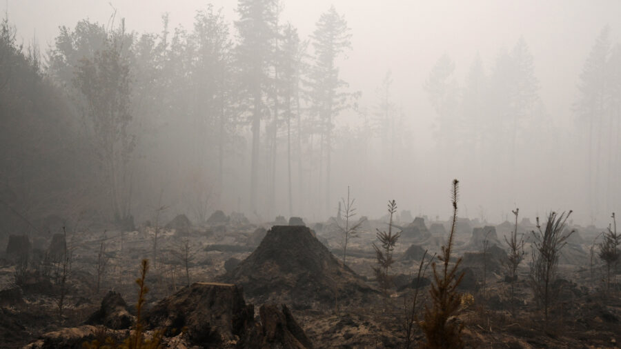 The burned remains of a timber operation in Molalla, Ore., on Sept. 13, 2020, after the Riverside Fire swept through the area. Credit: Robyn Beck/AFP via Getty Images