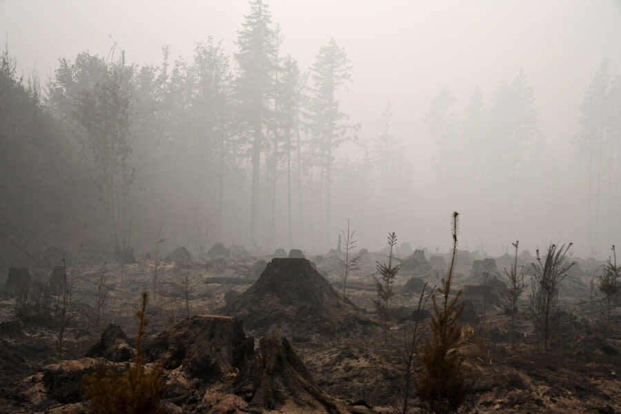 The burned remains of a timber operation in Molalla, Ore., on Sept. 13, 2020, after the Riverside Fire swept through the area. Credit: Robyn Beck/AFP via Getty Images