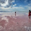 People step into the pink water near the Great Salt Lake’s Stansbury Island in Utah on Sept. 9, 2024. Credit: Frederic J. Brown/AFP via Getty Images