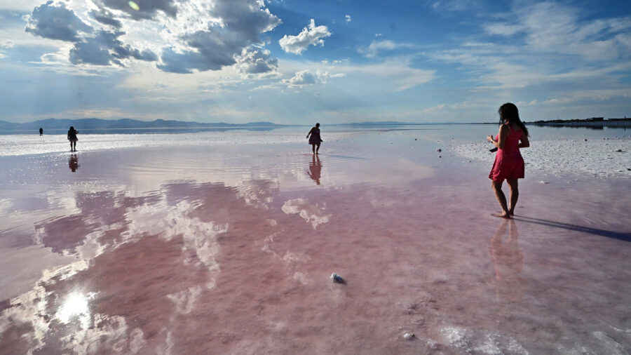 People step into the pink water near the Great Salt Lake’s Stansbury Island in Utah on Sept. 9, 2024. Credit: Frederic J. Brown/AFP via Getty Images