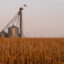 A grain bin stands in a corn field in Marne, Iowa. Credit: Bill Clark/CQ-Roll Call, Inc via Getty Images