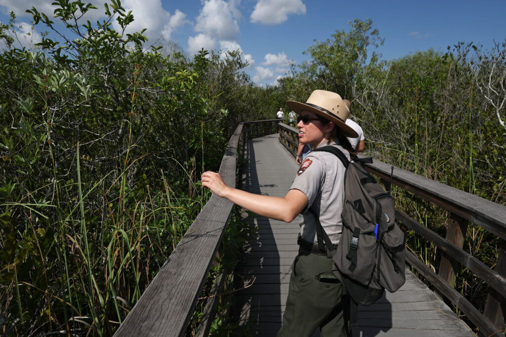 Everglades Restoration Also Helps Save the Planet from Climate Change, Study Finds