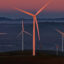 An aerial view of the Altamont Pass wind farm on Jan. 13 in Livermore, Calif. Credit: Justin Sullivan/Getty Images