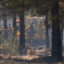 Crews work in the forest at the site of the Spring Pine Fire near Bastrop State Park on Monday in Bastrop, Texas. Credit: Aaron E. Martinez/The Austin American-Statesman via Getty Images