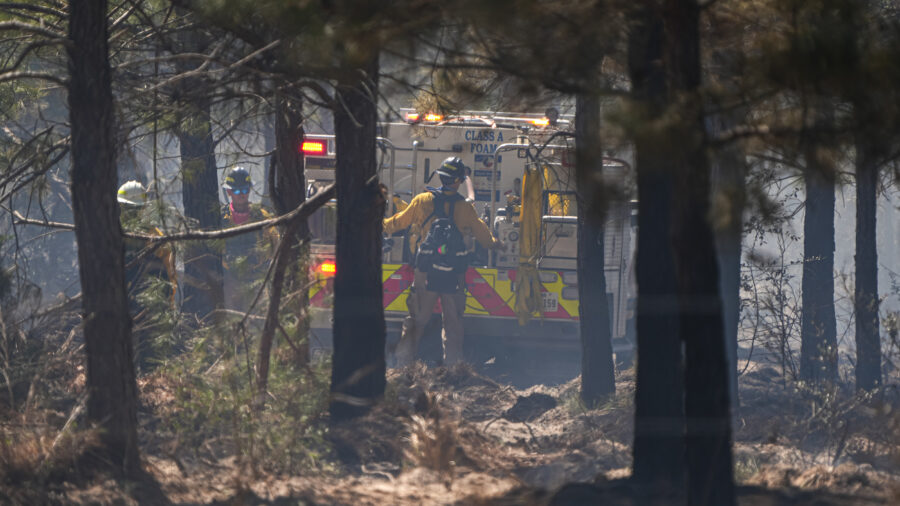Crews work in the forest at the site of the Spring Pine Fire near Bastrop State Park on Monday in Bastrop, Texas. Credit: Aaron E. Martinez/The Austin American-Statesman via Getty Images