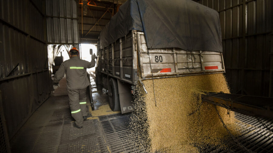 Soybeans are unloaded from a lorry at a biodiesel complex in Santa Fe, Argentina. Credit: Eitan Abramovich/AFP via Getty Images
