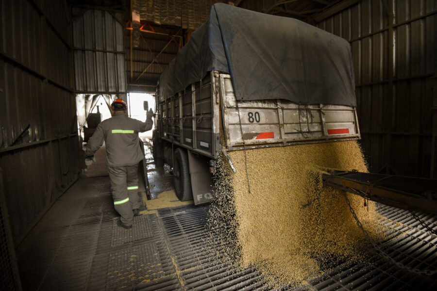 Soybeans are unloaded from a lorry at a biodiesel complex in Santa Fe, Argentina. Credit: Eitan Abramovich/AFP via Getty Images