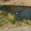 A pipe discharges liquid waste from Tesla’s lithium refinery plant into a ditch on Feb. 13 in Robstown, Texas. Credit: Steve Ray/Nueces County Drainage District No. 2