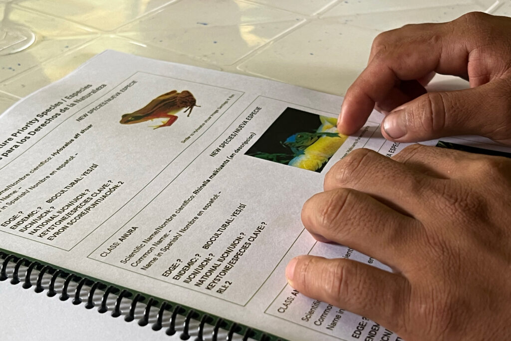 A packet of species documented on Maikiuants’ territory includes a new-to-science species of frog that is slated to be named the Maikiuants frog.